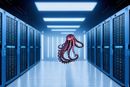 IT-leverandøren mener at hackerne har utnyttet en svakhet i programvaren Octopus Deploy, viser avviksmeldingen.