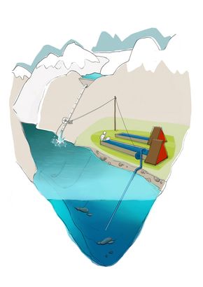 De landbaserte tankene blir fylt opp med sjøvann fra 100 meters dyp fra Sognefjorden. Vannet holder en temperatur på 8-10 grader hele året og gjenskaper miljøet villkveiten vokser opp i.
