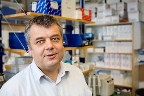 StandardisertDag Erik Undlien er professor og avdelingsleder ved Avdeling for medisinsk genetikk, Oslo Universitetssykehus og Universitetet i Oslo.