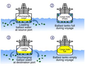 Skissen viser hvordan ballastvann brukes for å stabilisere skip, avhengig av hvor mye last skipet bærer. <i>Foto: Wiki commons</i>