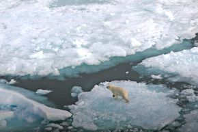 En isbjørn på et isflak på Svalbard. Et oljeutslipp i is er vanskelig å håndtere, og kan true dyrelivet.