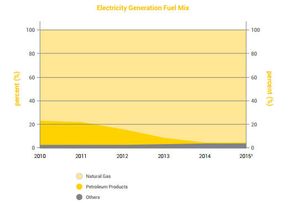 Singapores elektrisitet genereres nesten utelukkende av naturgass. <i>Foto: ema.gov.sg</i>