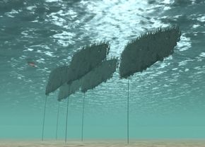 Under vann: SES&#039; pantenterte metode går ut på å feste taresporer til vertikale flak, som flyter i sjøen og forankres i sjøbunnen. <i>Foto: Seaweed Energy Solutions</i>