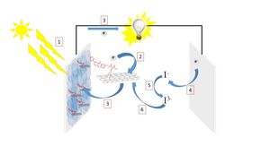 Bildet viser en type tredje generasjon organiske solceller som inneholder et lyshøstende organisk fargestoff koblet til grafén som det aktive laget: 1) Sollyset passerer gjennom en gjennomsiktig elektrode. 2) Solenergien absorberes av det organiske fargestoffet (på samme måte som planter bruker klorofyll). 3) Energien fra sollyset gjør at et elektron i fargestoffet eksiteres til et høyere energinivå og ladningsseparasjonen skjer. Dette elektronet kan nå bevege seg fritt gjennom den ytre kretsen hvor det kan gjøre arbeid. 4) Når elektronet når anoden blir det gjenforent med fargestoffet via en elektrolyttløsning ofte basert på jodid/trijodid, dette skjer i en prosess over flere steg. 5) Elektronet overføres til elektrolytten. 6) Elektrolytten kan overføre elektronet tilbake til fargestoffet, som da er klart for en ny syklus. I løpet av 20 år gjennomfører hvert fargestoff opptil 100 millioner sykluser. <i>Foto: Institutt for kjemi, fakultet for naturvitenskap, NTNU</i>