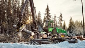 Biodrivstoff fra trevirke kan gi biodrivstoff til luftfart som gir faktisk utslippsreduksjon. <i>Foto: Viken skog</i>