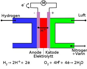 Brenselcellen lager elektrisk energi fra et drivstoff, som hydrogen, ved å la det reagere med oksygen ved hjelp av et oksidasjonsmiddel i en elektrokjemisk prosess. Cellen består av en katode, en anode og en elektrolytt som er plassert mellom elektrodene. En brenselcelle skiller seg fra et batteri ved at den kjemiske energien hentes fra en ekstern kilde (drivstoffet), mens et batteri har den kjemiske energien lagret internt (lukket system). Kilde: Wikipedia <i>Foto:  Wikipedia</i>