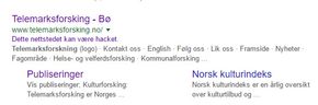 Googles søketjeneste advarer om at nettstedet til Telemarksforsking kan være hacket. <i>Foto: Skjermbilde</i>