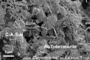 Den aluminøse tubermoritten dannes i det som kalles en pozzolanisk reaksjon. <i>Foto: M. D. Jackson</i>