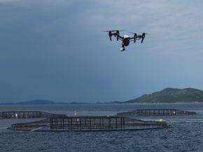 Drone inspiserer oppdrettsanlegg fra lufta. I Artifex-prosjektet er det meningen at den skal sendes opp fra og landes på en ubemannet overflatefarkost (USV). <i>Foto:  Eirik Svendsen/SINTEF OCEAN</i>