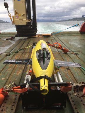 En dykkende Seaglider fra Kongsberg Maritime er en av dronene i glider-prosjektet. <i>Foto:  Akvaplan-niva</i>