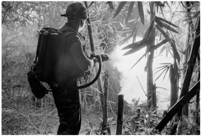 Bildene av brennende jungel er noe mange forbinder med Vietnam-krigen. Her er en amerikansk soldat med en M2A1-7 flammekaster. Foto: NTB Scanpix.