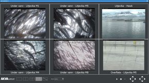 Bildene: Skjermdump fra et av anleggene, med bilder både over og under vann. <i>Skjermbilde:  Daniel Levin Larsen/Nordlaks</i>