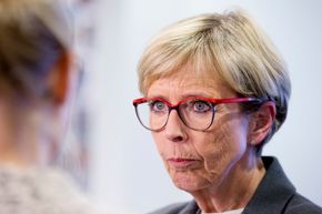 Tidligere forsvarsminister Anne-Grete Strøm-Erichsen (Ap) er i dag styreleder i Dips. Hun er meget fornøyd med ansettelsen. <i>Foto:  NTB Scanpix/Larsen, Håkon Mosvold</i>
