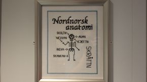 Nordnorsk anatomi hos legevakten på skipet. <i>Foto:  Adrian Broch Jensen</i>