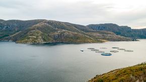 Oppdrettsmerden Aquatraz (nærmest) ligger sammen med konvensjonelle merder i Eiterfjorden i Nærøy. Over nyttår får den selskap av en til. <i>Foto:  Håvard Zeiner</i>