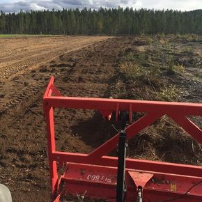 Det krever mye arbeid når et landskap skal gå fra skog til åker, men det er god jord under kraftlinja i Alta, ifølge gårdbruker Andreas Mathilassi. <i>Foto:  Andreas Mathilassi</i>