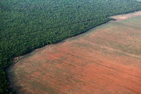 Store skogområder forsvinner og arter utryddes. Her fra avskoging av Amazonas. <i>Foto:  REUTERS/Paulo Whitaker/File Photo</i>
