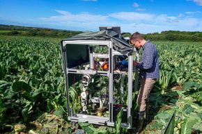 Martin Stølen har utviklet roboter som plukker frukt og grønnsaker. I mange land er det mangel på folk som kan jobbe med innhøsting når produktene er modne. Det tror han roboter kan hjelpe til med. <i>Foto:  Fieldwork Robotics</i>
