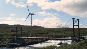  Villreinnemnda for Hardangerviddaområdet skriver at «vindmøllen i seg selv vil trolig ikke medføre særlige negative konsekvenser for villreinen». <i>Foto:  Privat</i>