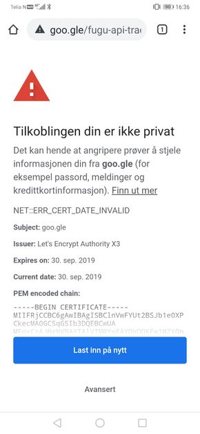 Domenet goo.gle benytter sertifikat fra Let's Encrypt. <i>Skjermbilde: digi.no</i>