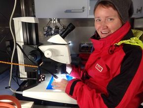 Doktorgradsstipendiat Angela Stippkugel studerer dyreplankton om bord på forskningsskipet. <i>Foto: Bodil Bluhm</i>