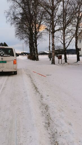 Fylkeskommunen har fått en del tips knyttet til skadeverket, og har vært i kontakt med Politiet og bedt om bistand for å håndtere det. <i>Foto:  Trøndelag fylkekommune</i>