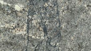 Et fossilt jordskjelv (svarte linjer) som er bevart i stein i Lofoten. <i>Foto:  Francois Renard</i>