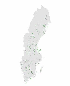 De grønne områdene viser hvor Naturskyddsföreningen mener det kan bygges ut vindkraft i Sverige uten at det kommer i konflikt med sårbar natur. (Illustrasjon: Naturskyddsföreningen)