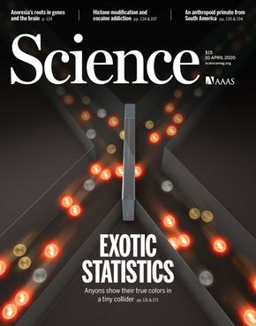 Partikkelveikryss slik en illustratør har tenkt seg: Fermioner, bosoner og anyoner oppfører seg ulikt når de møtes. Forsiden på Science 10. april 2020.