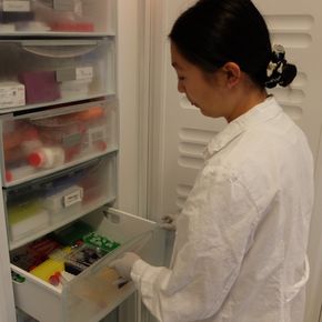 Linda Thuy Dieu Ngo og de andre IGEM-studentene har sin egen skuff i fryseboksen på lab'en. <i>Foto:   Eivind Torgersen/UiO</i>