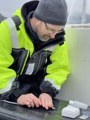 Thrond Haugen undersøker fisk i Oslofjorden. <i>Foto:  Birger Sætre/Trollskog</i>