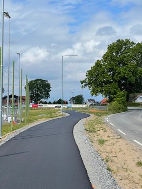 Gang- og sykkelveien er her ved Søndersrød lagt om for å bevare et stort tre. <i>Foto:  Truls Jacobsen, Vestfold og Telemark fylkeskommune</i>