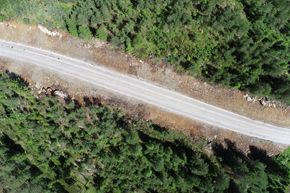 Et parti av fylkesvei 21 etter at skogen er hogd og terrenget er slaket ut. <i>Foto:  Innlandet fylkeskommune</i>