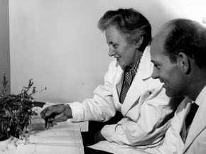 Etter andre verdenskrig jobbet Stene Sørensen sammen med ektemannen på NTH, der de forsket på naturlig forekommende acetylenforbindelser i kurvplanter. <i>Foto:  Nils Lystad</i>