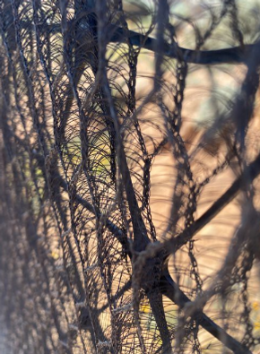 Tåkefangernettene består av mange fine tråder. Hver for seg fanger de dråper, men til sammen holder disse nettene liv i 16 landsbyer. <i>Foto:  Andreas Carlson</i>