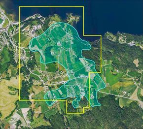 Det grønne feltet viser forekomsten med sjeldne jordarter på Fensfeltet. Det gulmarkerte området viser hvor selskapet REN har rettigheter. <i>Foto:  Rare Earths Norway</i>