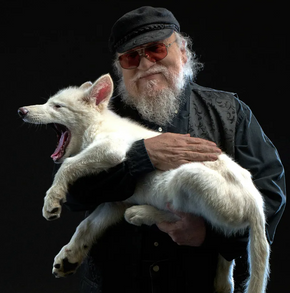 George RR. Martin, skaperen av A Song of Ice and Fire, med en skrekkulv. Den utdødde rasen ga inspirasjon til «hans» dire wolfs. <i>Foto: Colossal Biosciences</i>