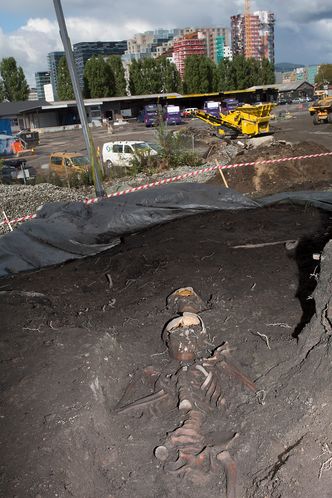 Forsinker ikke FollobanenSkjelettene på kirkegården ved Middelalderparken er orientert rett øst-vest, etter kristen tradisjon. Med blikket vendt mot soloppgangen, ikke Barcode, ved en eventuell dommedag.