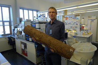 Drivstoff fra stokken: Ved UMB har de lang erfaring med enzymer som bryter ned komponentene i trematerialer til sukkerarter. Nå skal aktiviteten, som ledes av Vincent Eijsink, videreføres i prosjektet Oxymod. Foto: Jannicke Nilsen