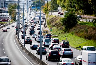 Rigmor Andersen Eide (Kristelig Folkeparti)Store køer er et vanlig syn på Vestkorridoren.