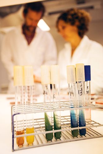 KloakkbakterierFargekoder: De ulike bakteriene får forskjellige fargekoder.