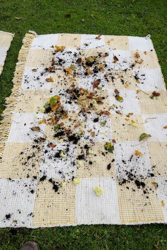 TestingMøkk: De førreste innetepper ser slik ut. Heldigvis. Vi testet strøvsugerne på et teppe fullt av løv, jord og Glava-biter. På et annet teppe hadde vi fint murstøv