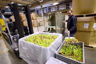 Reportasje fra Lego i Billund november 2016