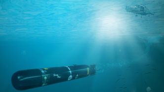 Operasjonelle rammerSting Ray Mod 1 integreres på NH90. Lettvektstorpedoene brukes også av fregattene og P-3C Orion.