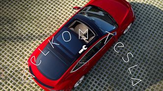 Initiativet «Welkom Tesla» forsøker å lokke Tesla til å ta over Fords gamle fabrikk i Genk i Belgia. Foto: welcometesla.com