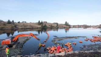Den første av i alt tre PEX-kabler er ført i land i Kuvågen på Radøy i Hordaland. Den er en del av forsterkningen av elektrisitetsforsyningen i bergensområdet. Foto: Marius Valle