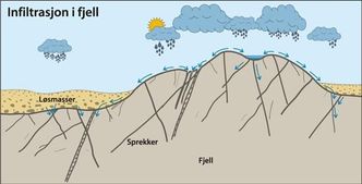  Illustrasjon: Irene Lundquist