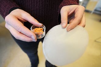 Fra avfall til innovativ nytt produkt. Papirindustrien har vist interesse for forskerne i Luleås materiale laget av nanocellulose basert på biproduktet fra gulrotjuice-produksjon. Foto: Thomas Olsen