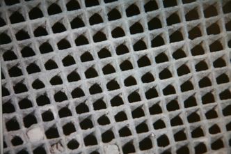 Snitt fra keramisk katalysator med edelmetaller. Foto: Public domain