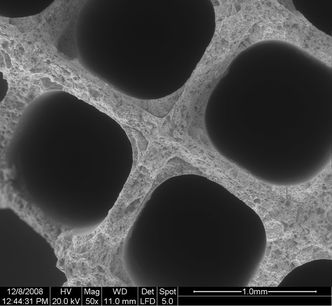 Elektronmikroskopavbilding av en katalysator fra bil. Foto: Galadrid (CC BY 3.0)